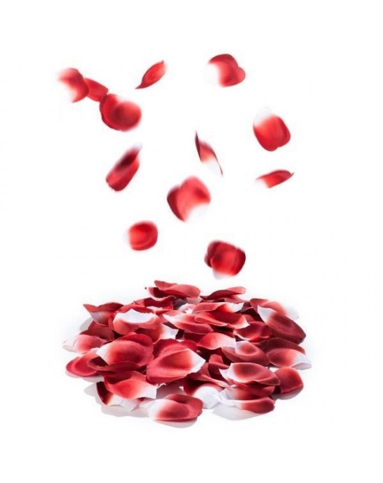 LES PETITS BONBONS EXPLOSION DE PETALOS DE ROSA