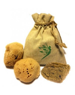 3 Tampones Esponjas Marinas Naturales [M]