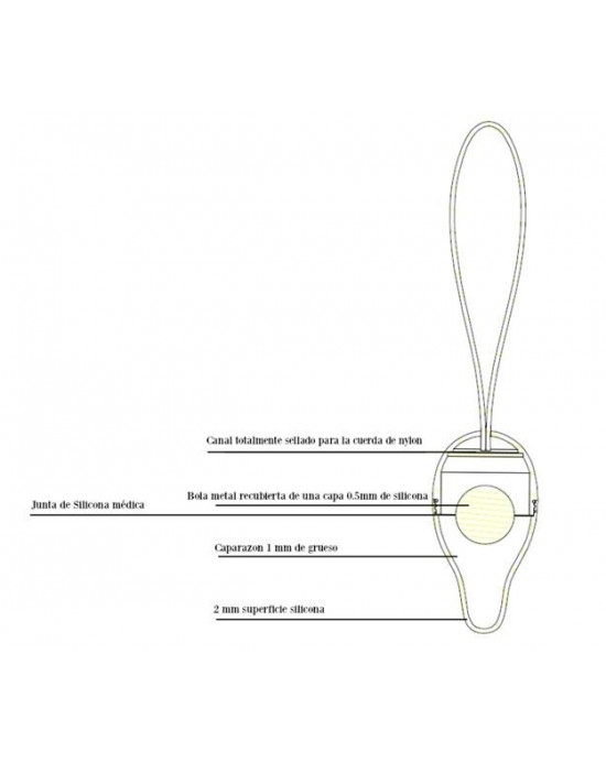 Intimichic Pelvis Health i 2.0