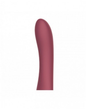 Terminal Vibrador Cici Beautty 3 (necesita Controlador)