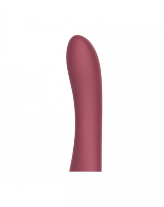 Terminal Vibrador Cici Beautty 3 (necesita Controlador)