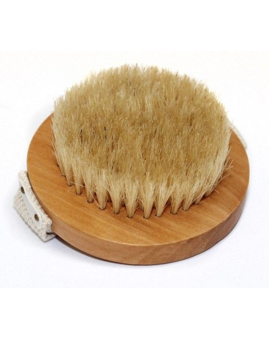 Cepillo Cuerpo Circular 9cm con Cinta