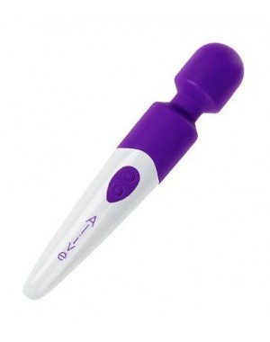 Masajeador Wandy Recargable