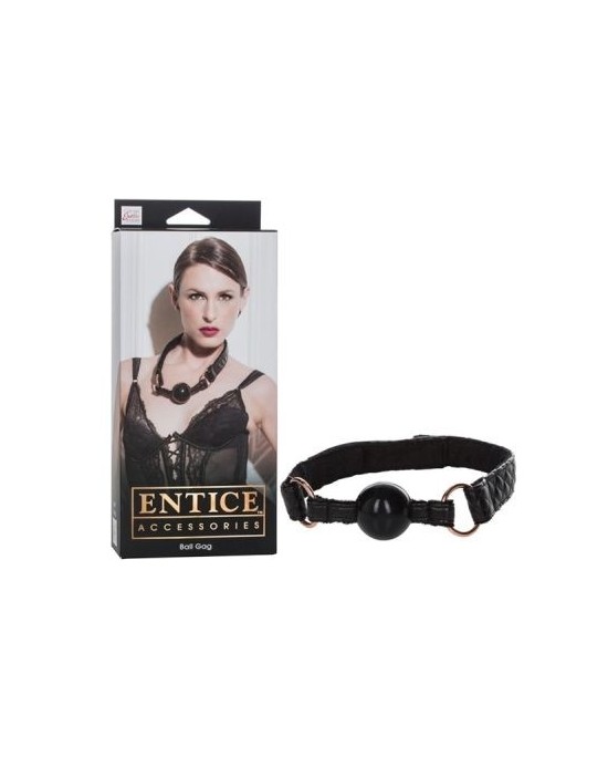 Ball gag Give in to temptation