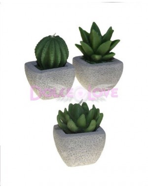 Velas Cactus Variados